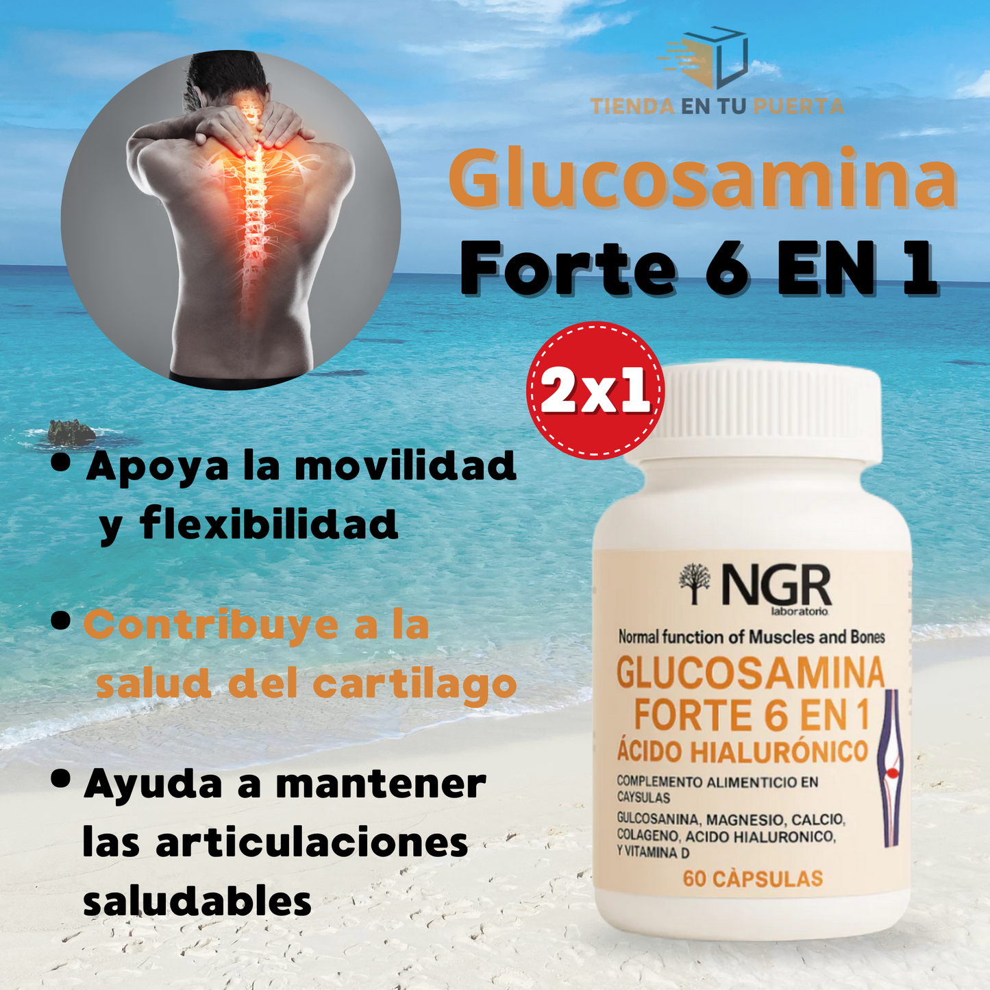 GLUCOSAMINA FORTE 6 EN 1 CON ACIDO HIALURONICO