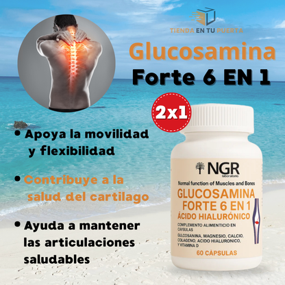 GLUCOSAMINA FORTE 6 EN 1 CON ACIDO HIALURONICO